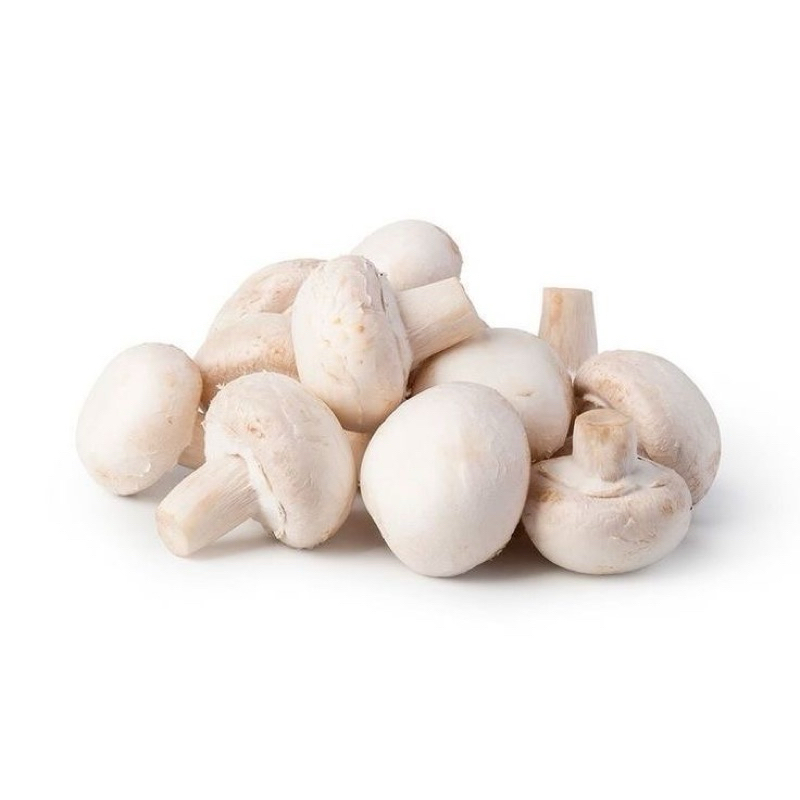 

mushroom buttom jamur kancing