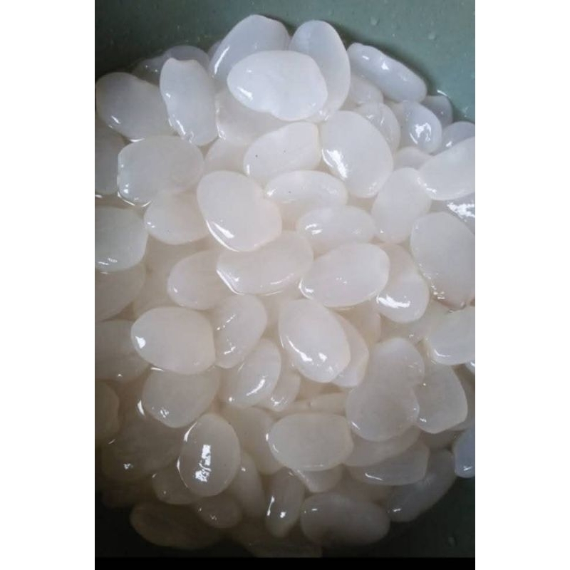 

Kolang Kaling Empuk Kenyal/ Caruluk Bahan Kolak Es campur dan Makanan Lainnya 500 Gram