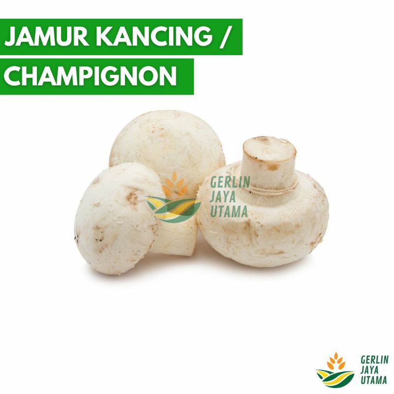 

(150gr) JAMUR KANCING // JAMUR CHAMPIGNON // MUSHROOMS // MUSHROOM // SAYUR SEGAR // FRESH VEGETABLES
