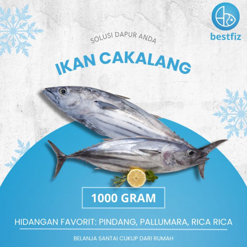 

Ikan Cakalang