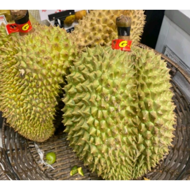 

DURIAN SUPER KUNING PROMO CO 1 BONUS 1