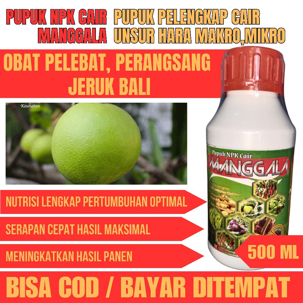 Pupuk Boster Jeruk Bali Pelebat Organik Cepat Berbuah Lebat Pupuk Jeruk Cepat Besar Pupuk Perangsang