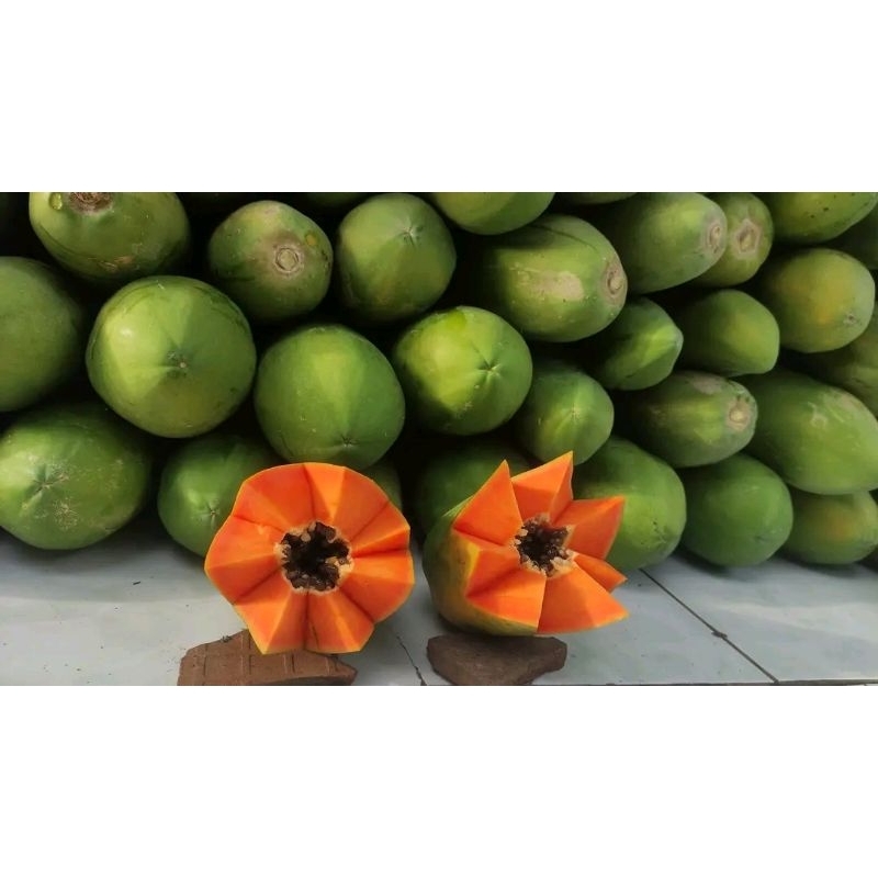 

buah pepaya california kwalitas super 1kg