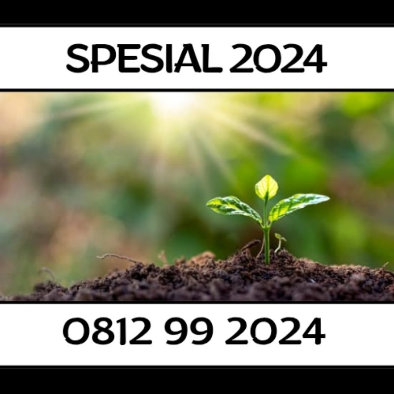 Nomor Cantik Telkomsel 10 Digit Tahun 2024