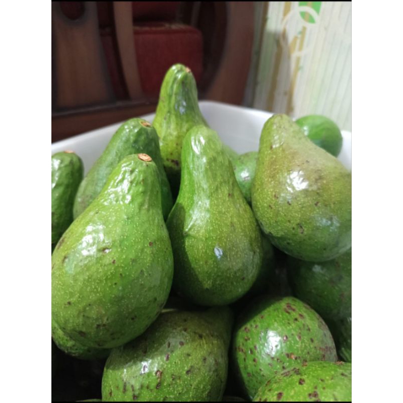 

HARGA PER 2KG /ALPUKAT MENTEGA ISI 6-7 PER 2KG