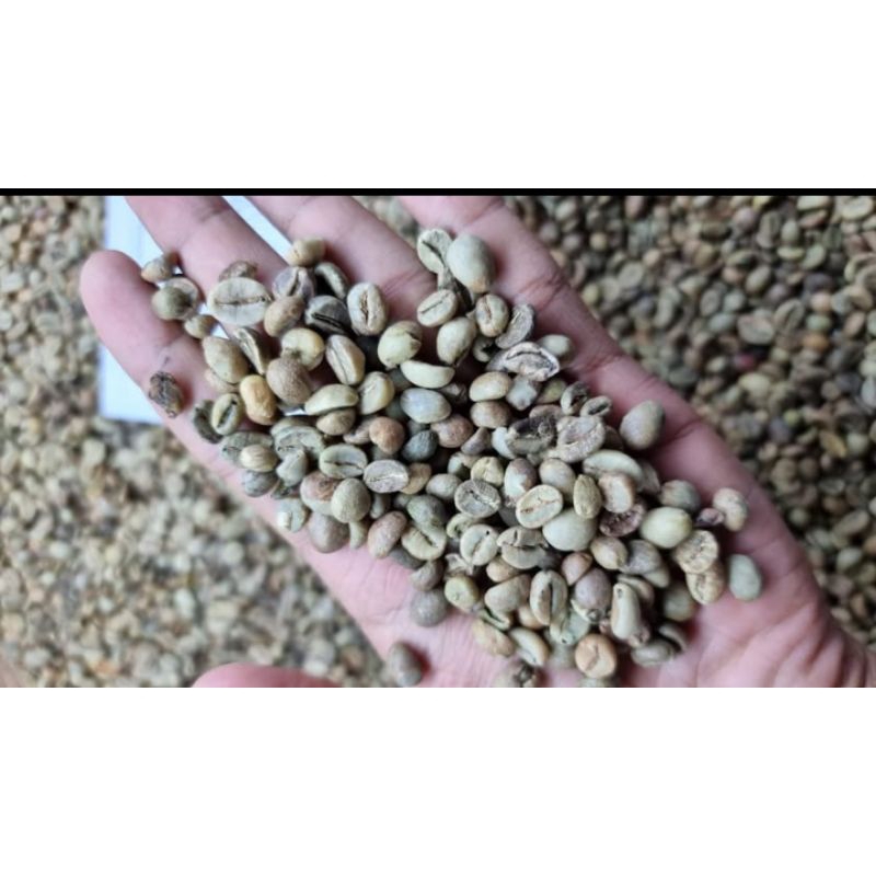 biji kopi mentah / kopi berasan 1kg