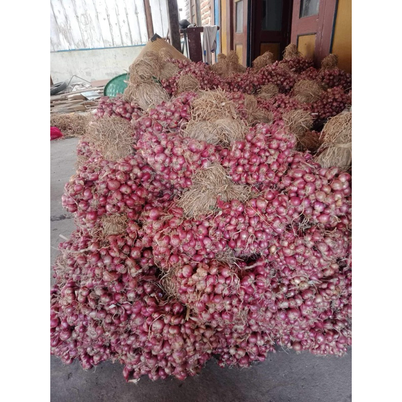 

bawang merah jawa timur 1kg merah superr