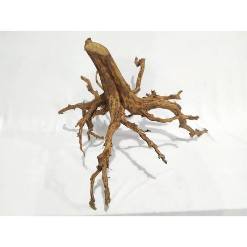 Murah Akar Rasamala Aquarium Aquascape 2pcs/Akar Akuarium dekorasi Aquascape aquarium Terbaik