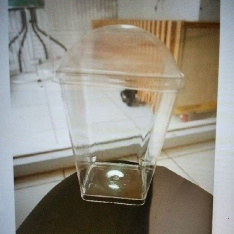 

CAP PUDDING BAHAN JELLY, DESSERT PUDDING ISI 25