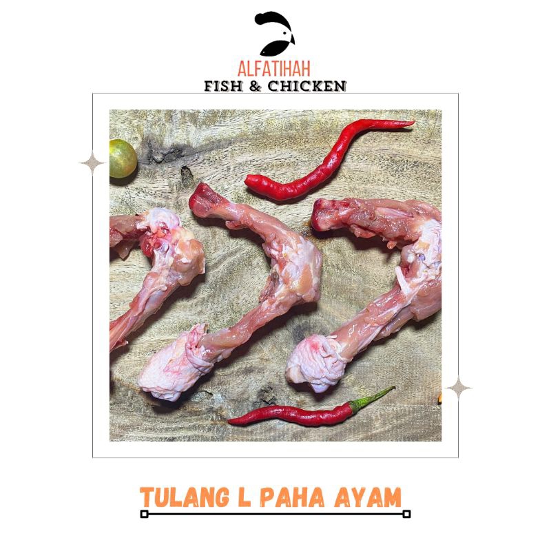 

Tulang L Paha Ayam