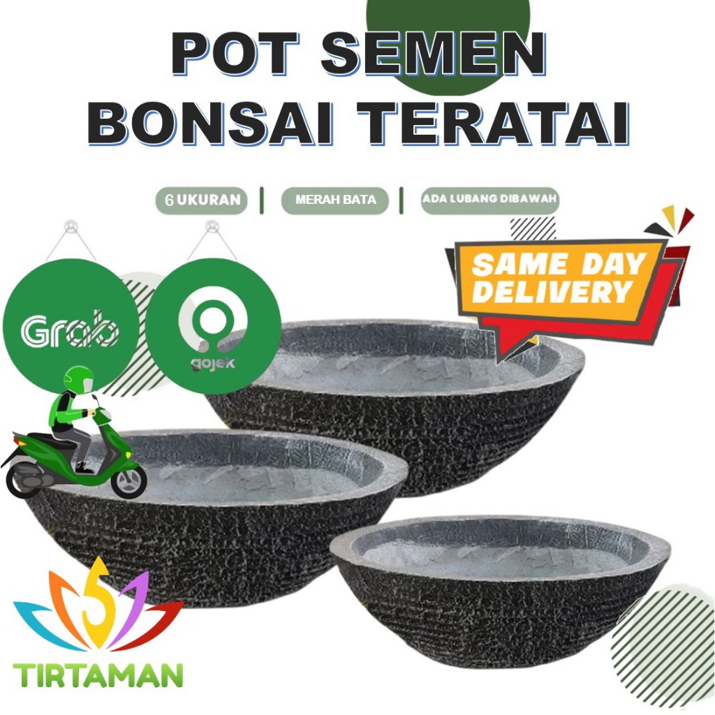 pot semen bonsai teratai / pot estetik bonsai teratai / pot beton bonsai teratai [khusus instan]