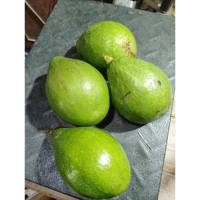 

alpukat mentega asli Blitar dipetik fresh ketika ada pesanan 1 kg 2 kg