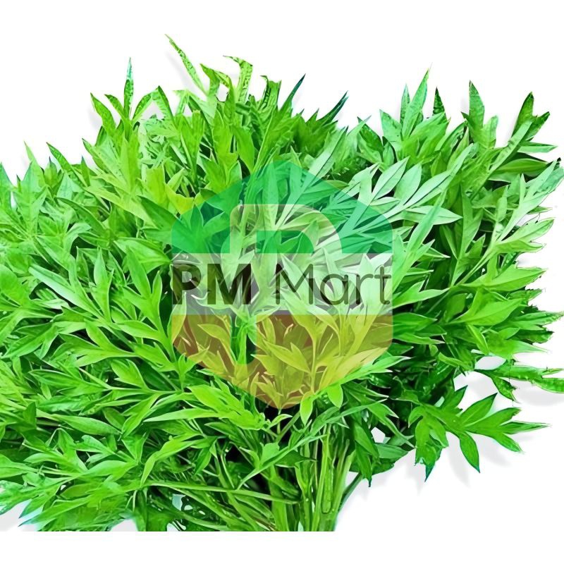 

Daun Kenikir Segar 1 ikat