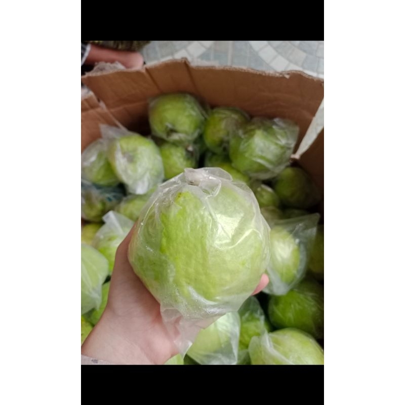 

jambu kristal grade A