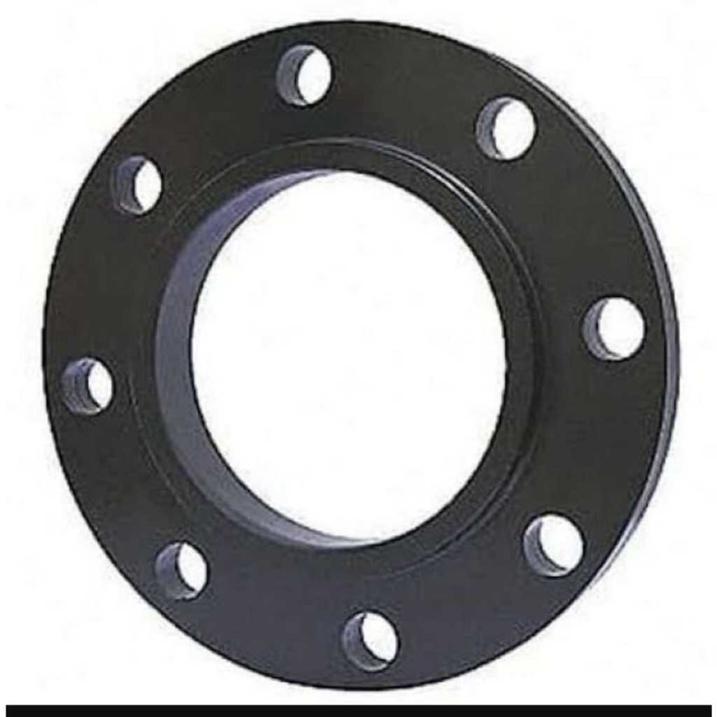 6" flange ansi 300 besi 6 inch