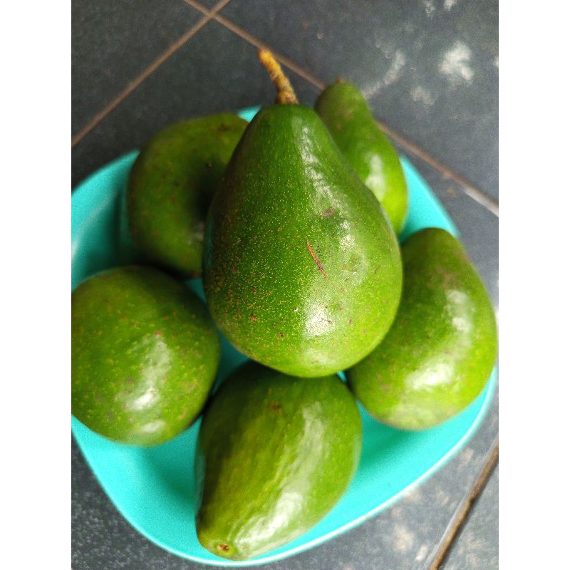 

Alpukat Mentega Muria legit pulen super 1Kg isi 5- 6-7- masih mentah