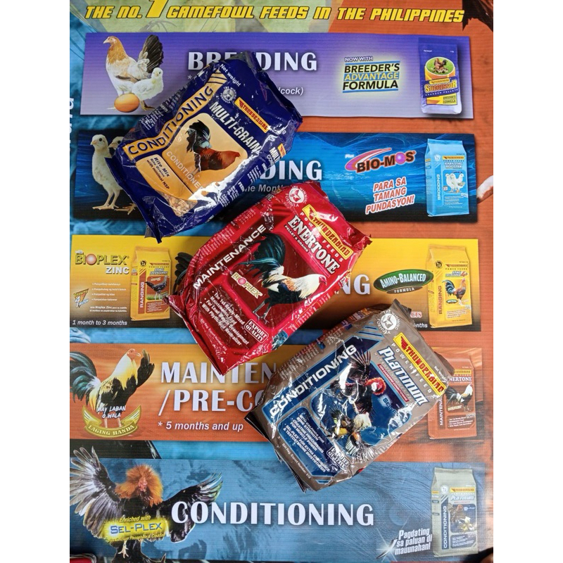 PAKAN AYAM THUNDERBIRD / ENERTONE,PLATINUM , MULTI GRAIN