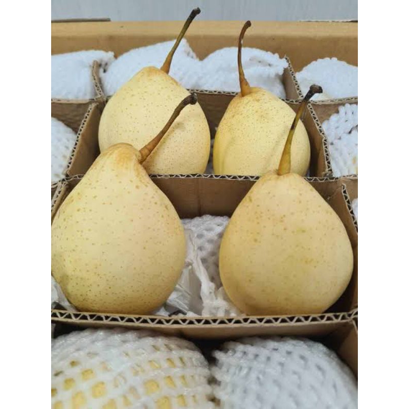 

buah pear madu segar 1kg