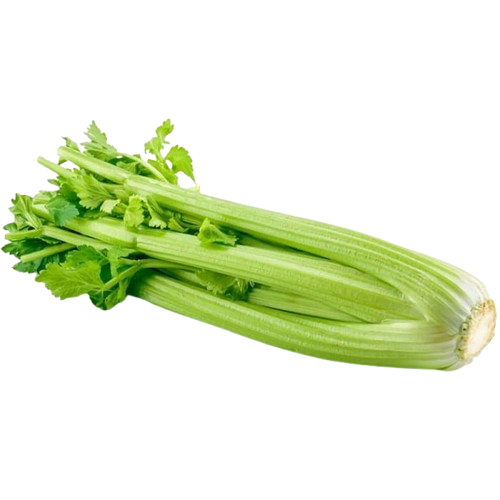 

CELERY/SELEDRI IMPORT/SELEDRI STICK/BATANG SELEDRI