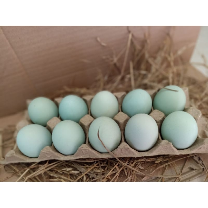 

Telor asin Brebes Legit & Gurih