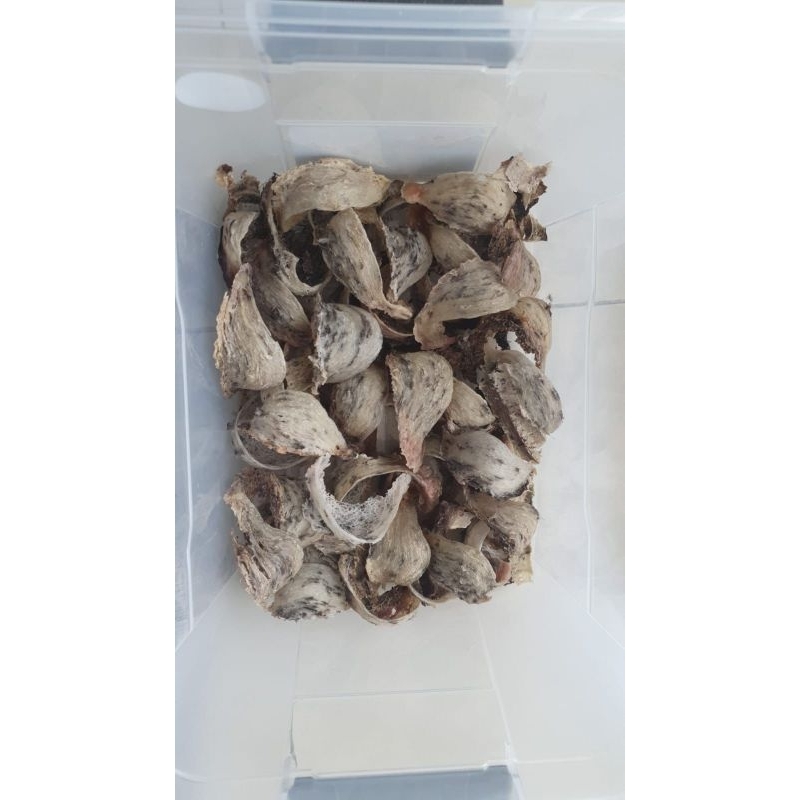 

Sarang burung Wallet asli 100 persen 750 gram