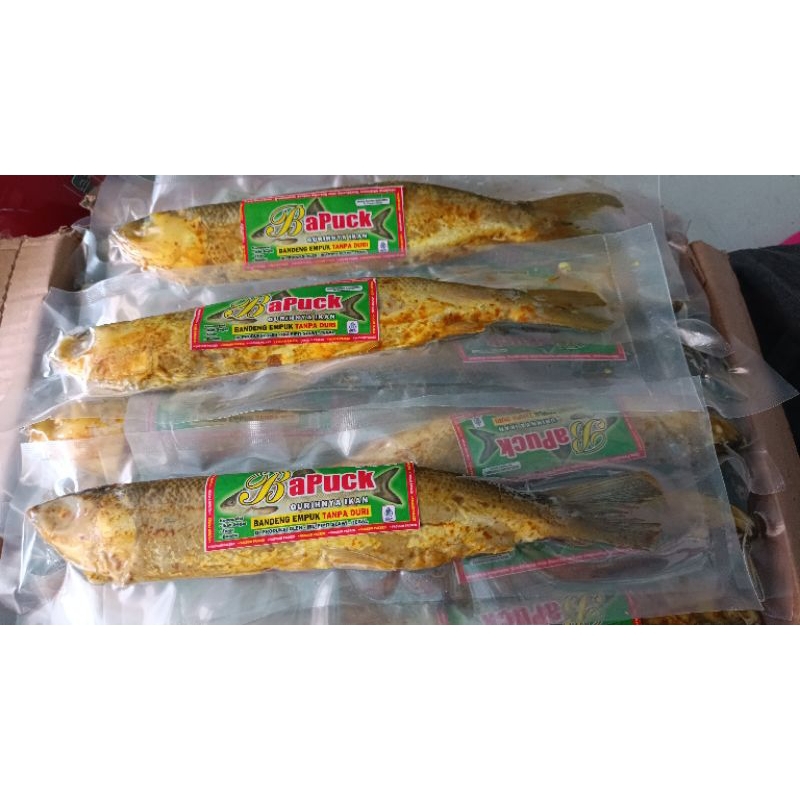 

BaPuck BANDENG EMPUR TANPA DUI