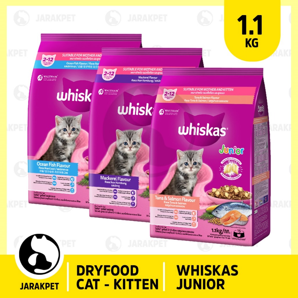 Whiskas Junior Dryfood 1,1Kg - Whiskas Junior Dry food 1.1kg - Whiskas Junior Mackerel 1,1kg - Whisk