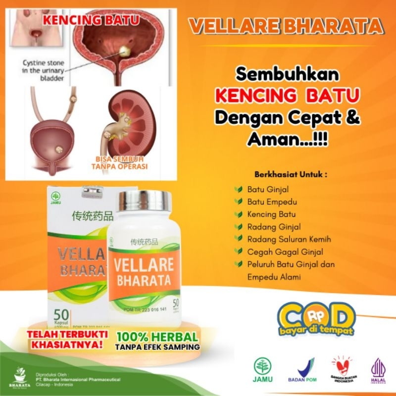 VELLARE BHARATA - Obat Kencing Batu - Obat Batu Ginjal - Obat Radang Ginjal