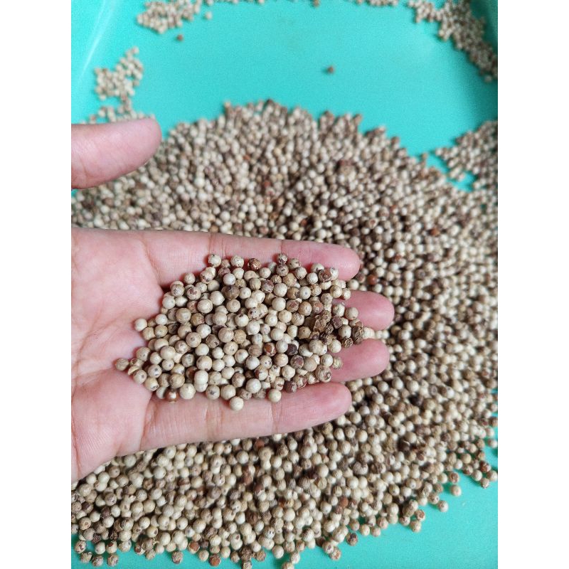 

Lada putih/mrrica putih 100gr, 500gram.