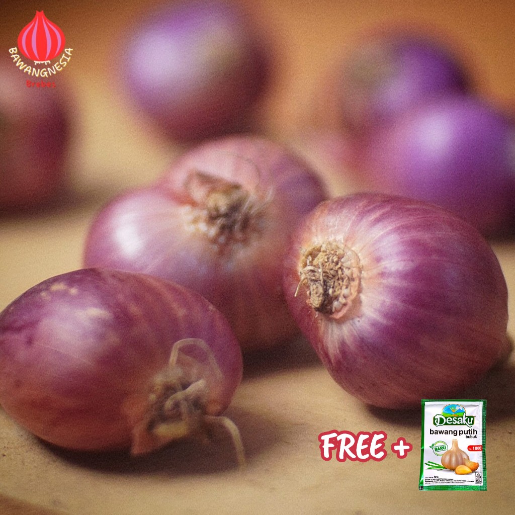 

BAWANG MERAH PETANI BREBES ASLI - 500 gram