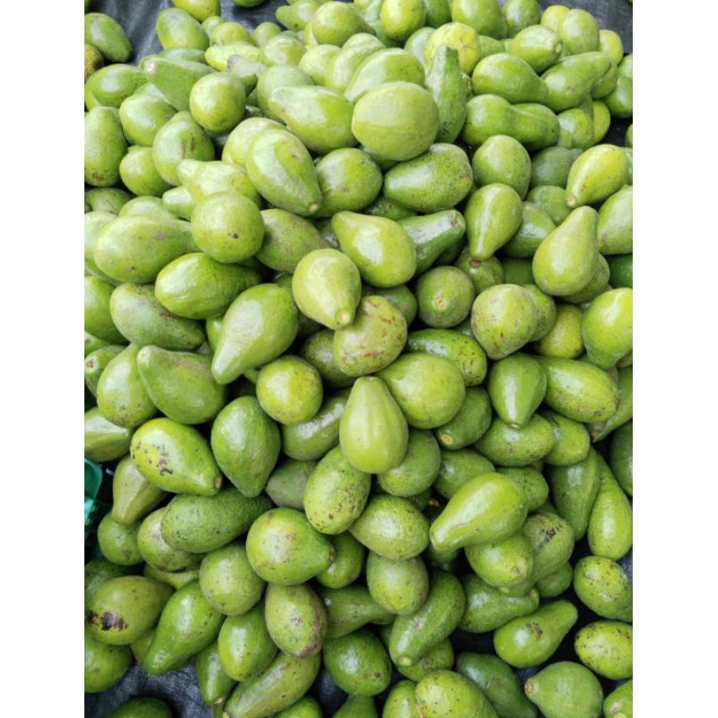 

AlpukatMentega1kg