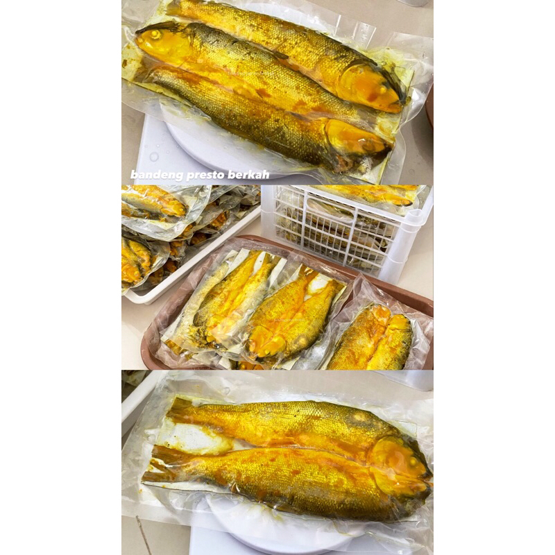

JUAL BANDENG PRESTO FROZEN TINGGAL GORENG ISI 1/2/3/5 EKOR