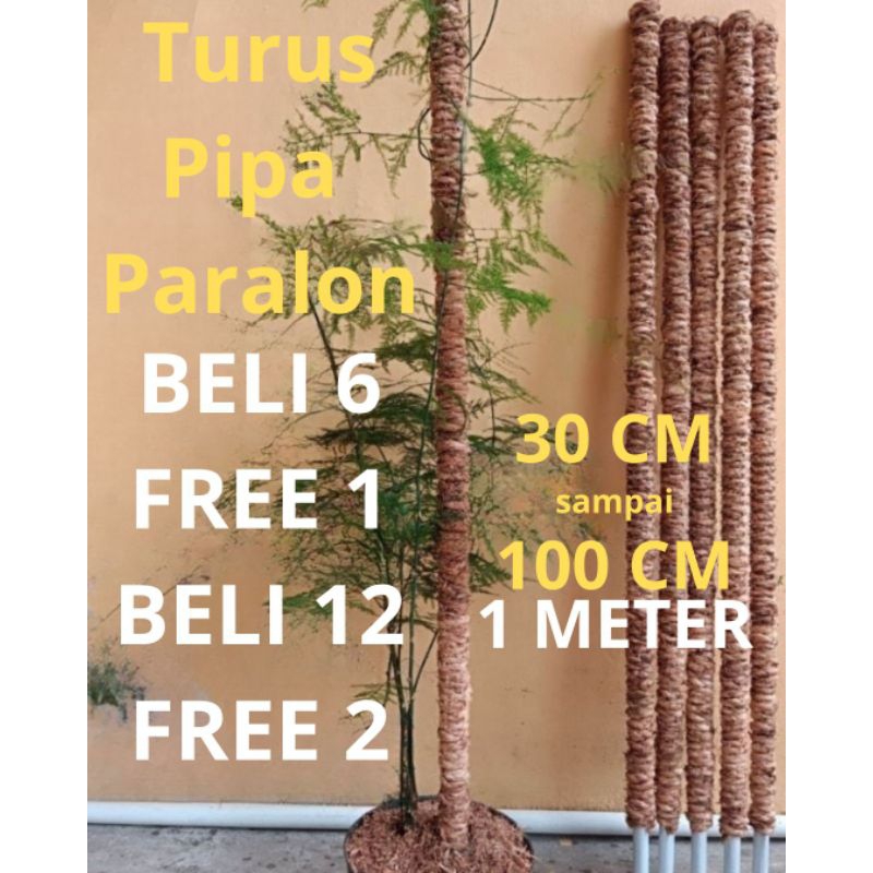 Turus penyangga tanaman penopang ajir tongkat tiang 30 40 50 100 cm bunga menjalar janda bolong