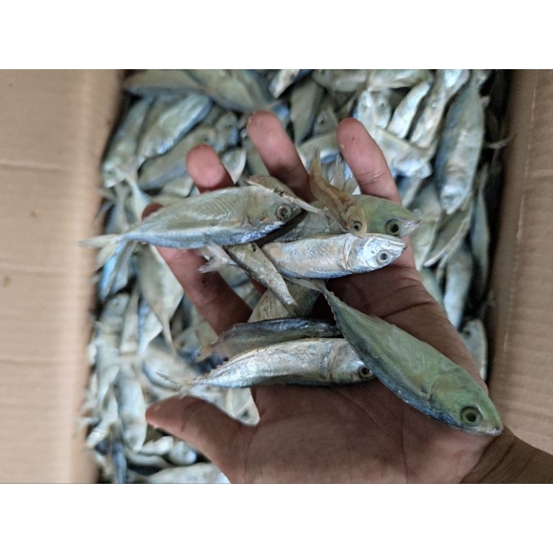 

Ikan Asin Baby Kembung 250gr