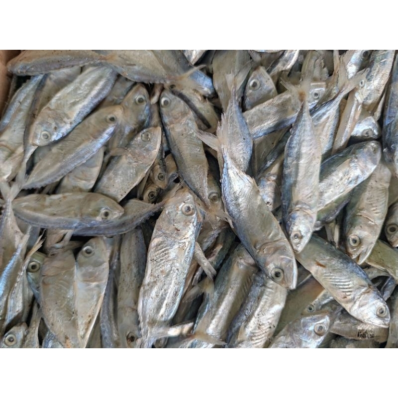 

Ikan Asin Baby Kembung 500gr