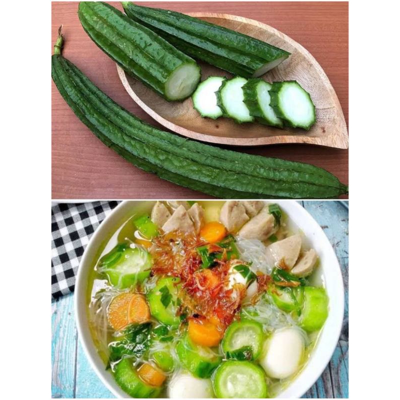 

Sayur Oyong / Gambas Per Biji Fresh Untuk Sayur