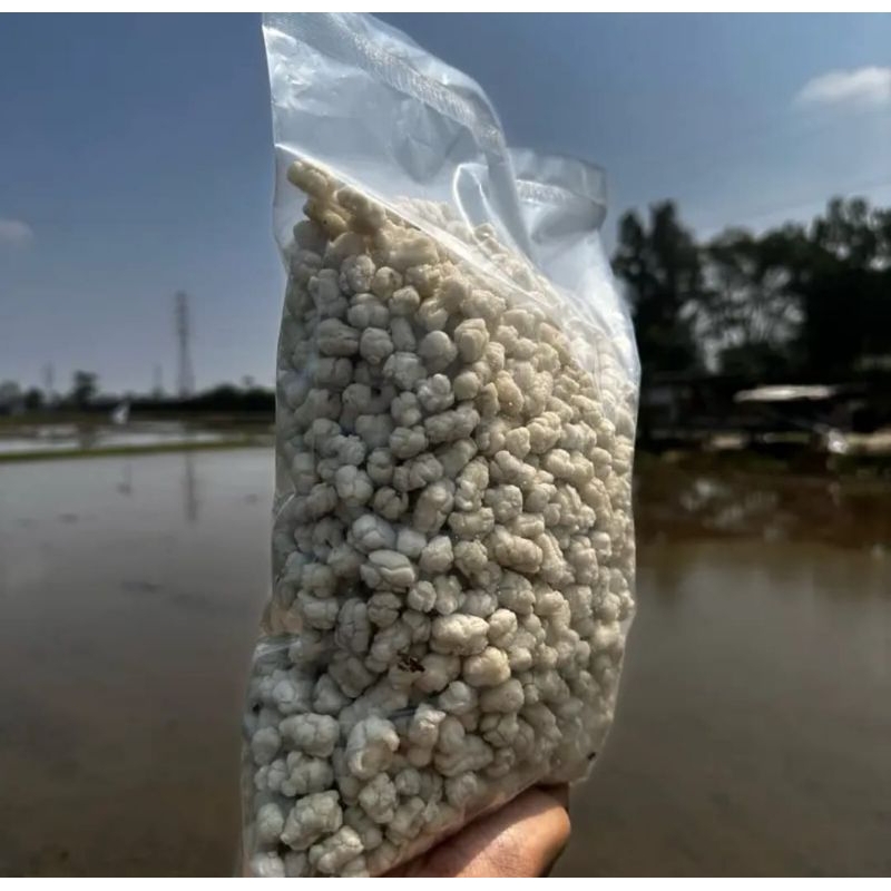 

Cemilan instan Tiktak cikur kriuk 1KG