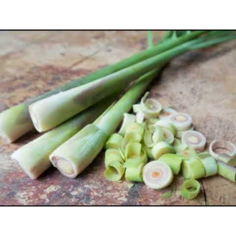 

PROMO Sereh / sere / bumbu dapur / rempah rempah segar
