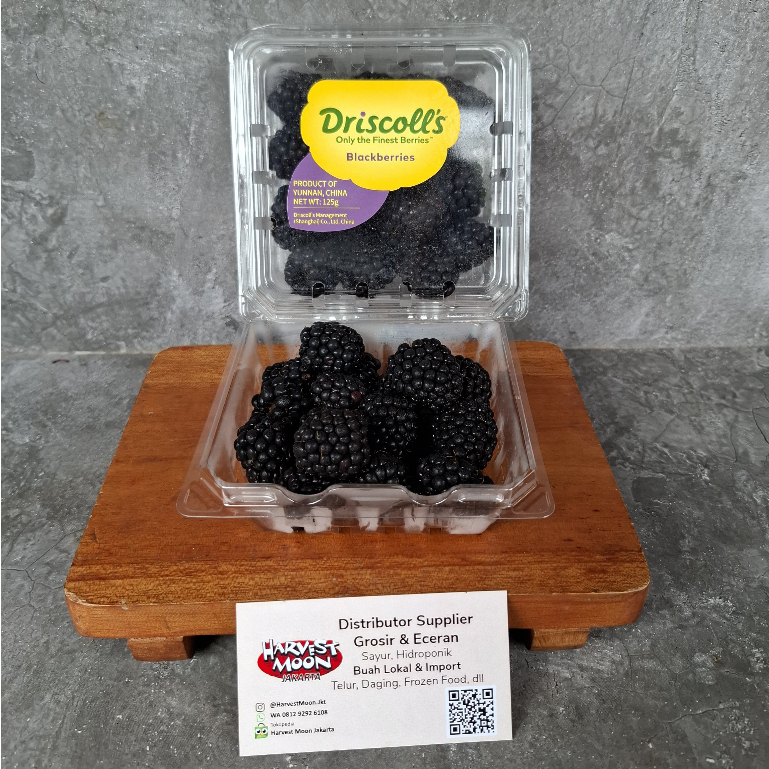 

HarvestMoon Blackberry Import Per Dus