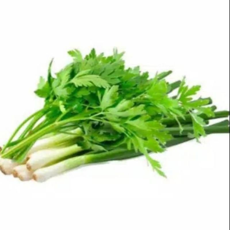 

daun pre dan daun seledri segar