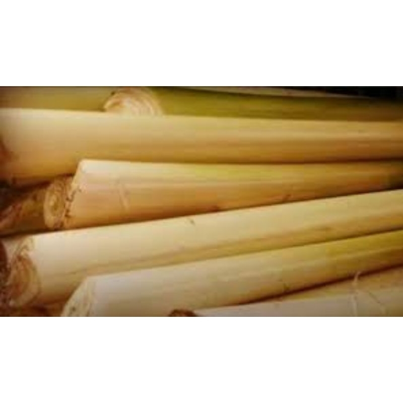 

gedebog pisang asli 1 kg