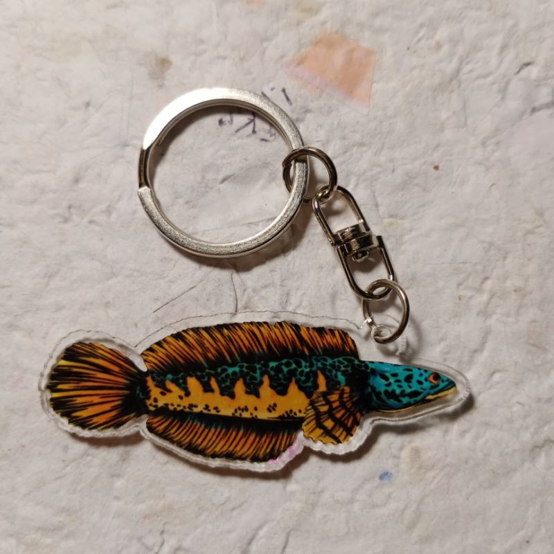 ganci ikan Chana fish / keychain gantungan kunci ikan Chana fish / ikan Chana fish