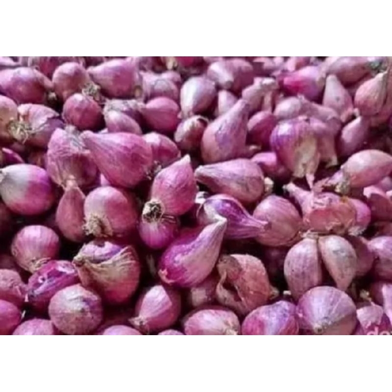 

Bawang merah kering 1kg ukuran sedang campur kecil
