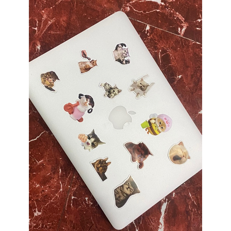 

Sticker Pack 3 PCS Kucing Meme Lucu Aesthetic Vinyl Waterproof untuk Freebies Laptop Tumblr