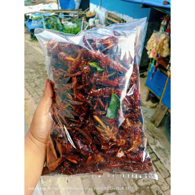 

BELALANG KAYU KEMASAN 500g