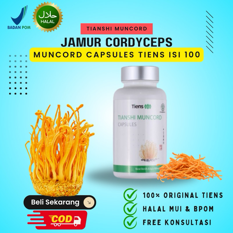 Jamur Cordyceps Kapsul Muncord Tiens Asli