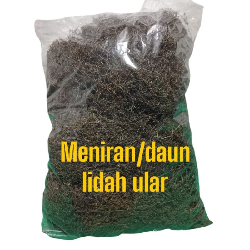 

1kg daun Meniran/daun lidah ular kering obat herbal alami