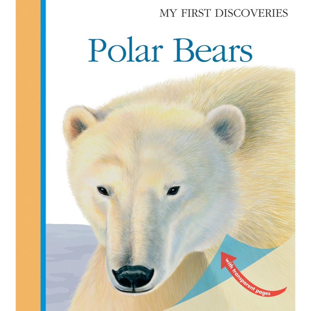 Polar Bears (My First Discoveries)