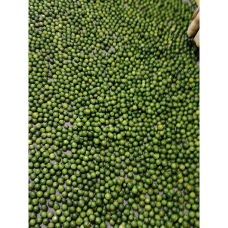 

jeruk peres, langsung petik dari alam