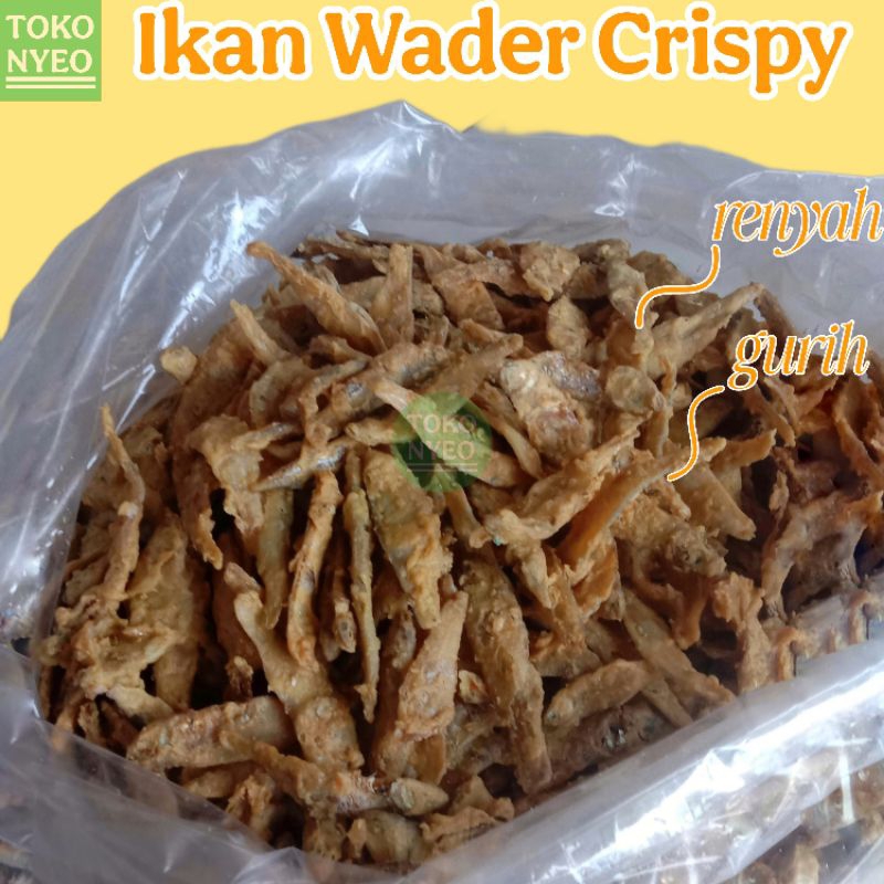 

[ Renyah Gurih ] Ikan Wader Laut Crispy Siap Makan 250 gram Oleh Oleh Surabaya - Asin, Goreng, Food, Keripik, Camilan, Fish, Kering, Snack, Pedas